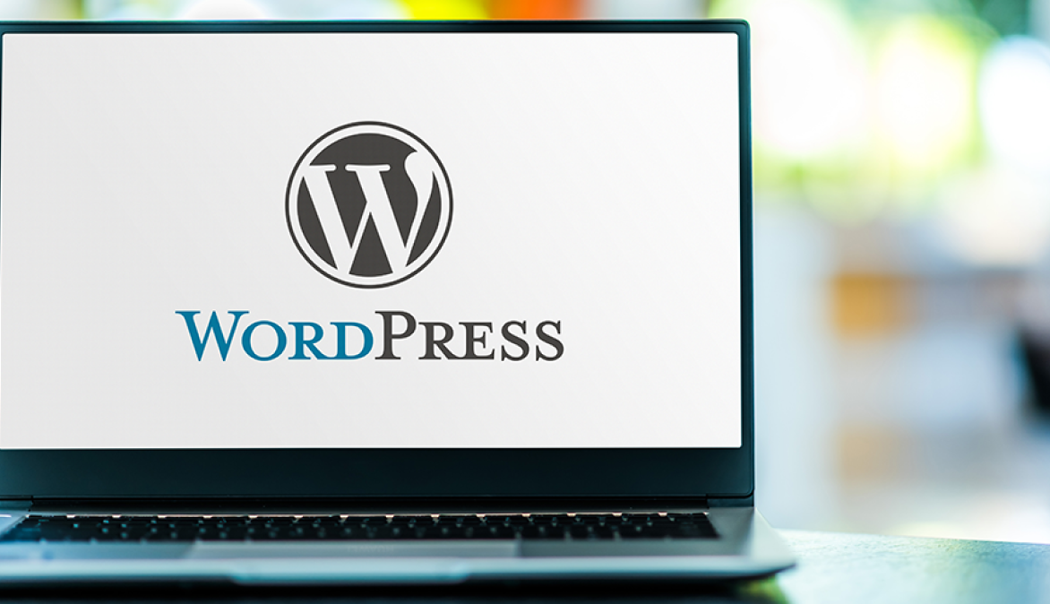 Maatwerk WordPress website laten maken